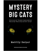Mystery Big Cats